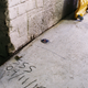 Image for article titled The Last O.G.